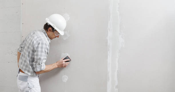 Best Real Estate Mold Inspection  in Sparta, TN
