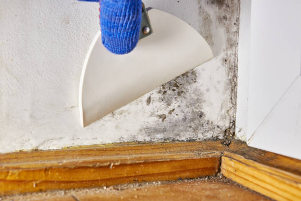 Best Indoor Air Quality Assessment  in Sparta, TN