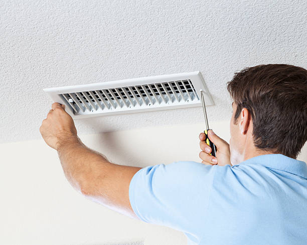 Best Industrial Mold Remediation  in Sparta, TN