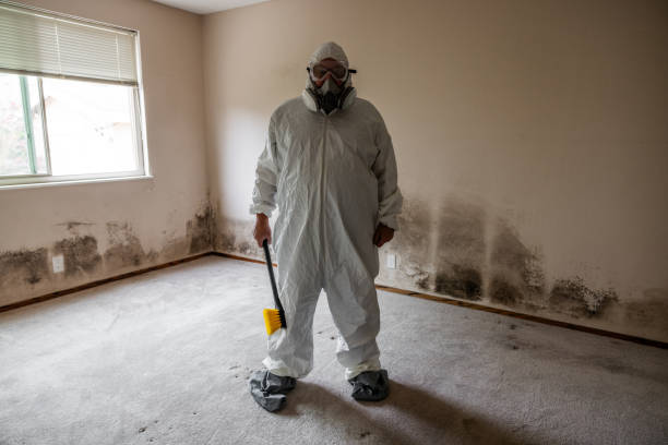 Best Mold Damage Restoration  in Sparta, TN